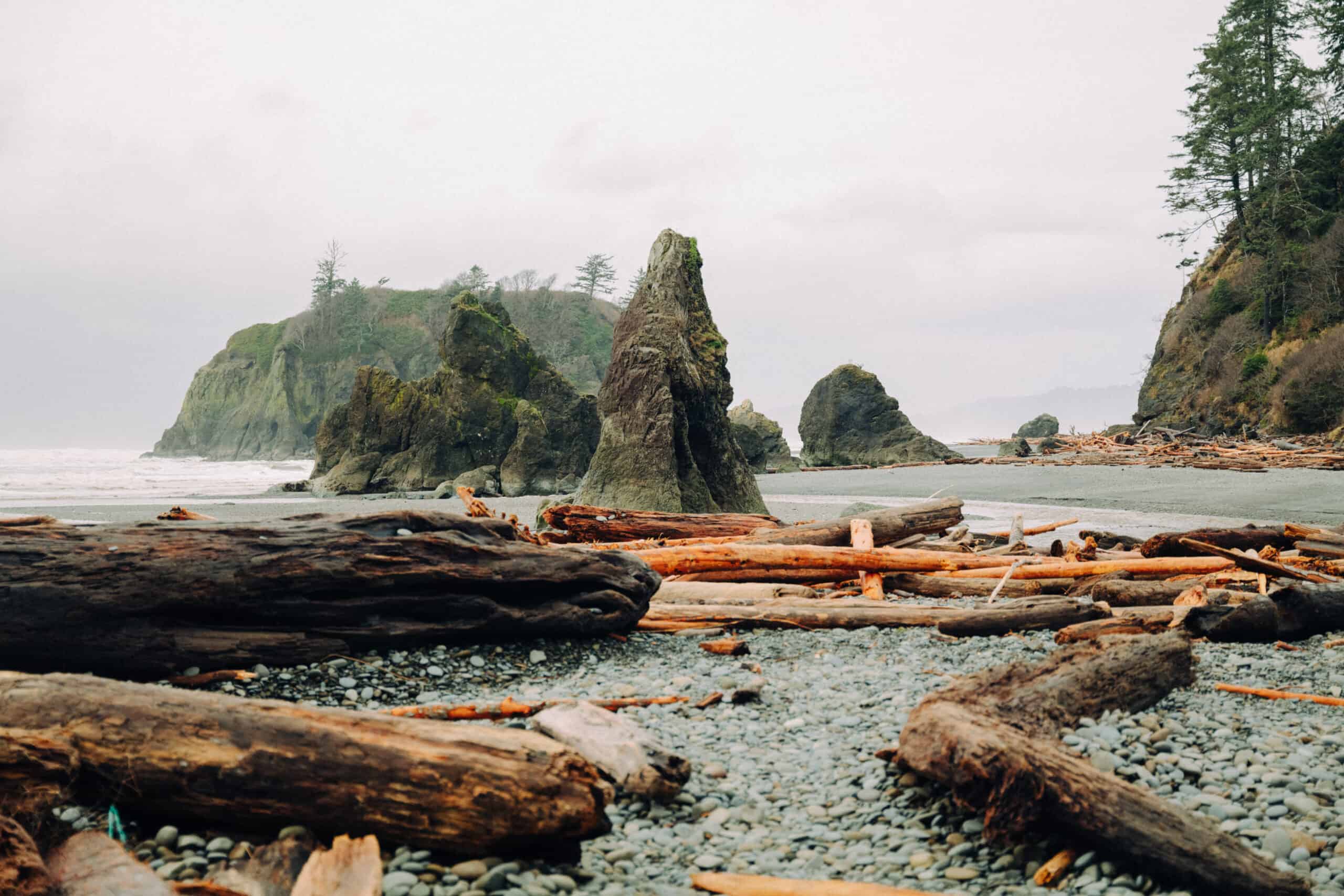 Secrets-Of-Washington8217s-Ruby-Beach secrets-of-washingtons-ruby-beach