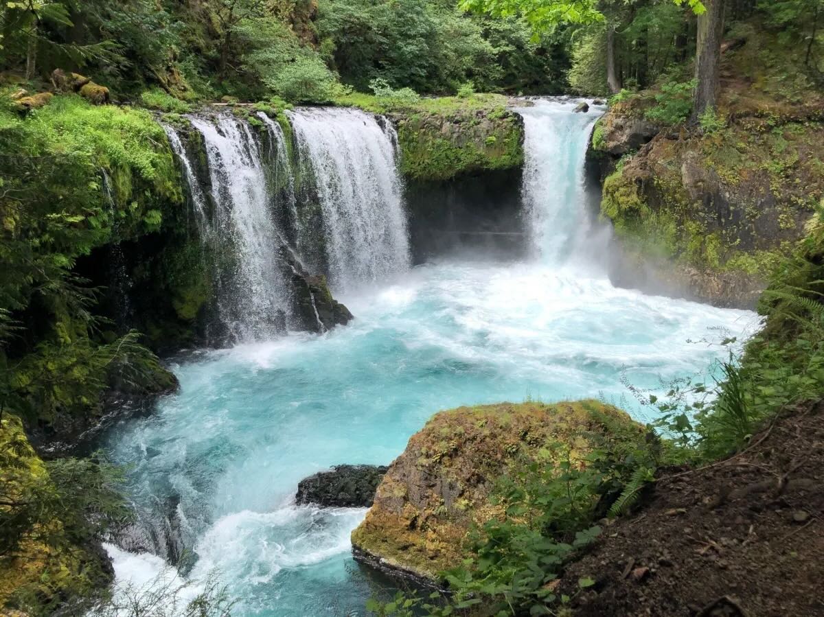 Secrets-Of-Washington8217s-Spirit-Pool secrets-of-washingtons-spirit-pool