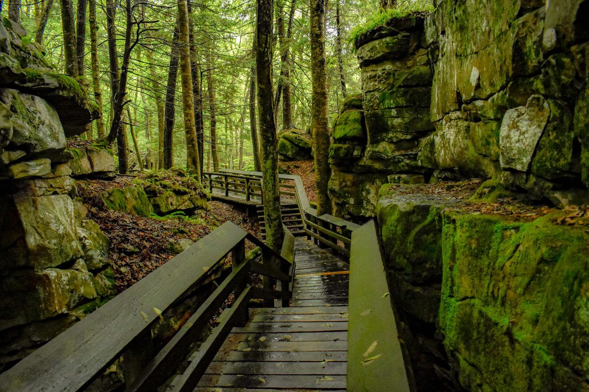 Secrets-Of-West-Virginia8217s-Beartown-Trails secrets-of-west-virginias-beartown-trails