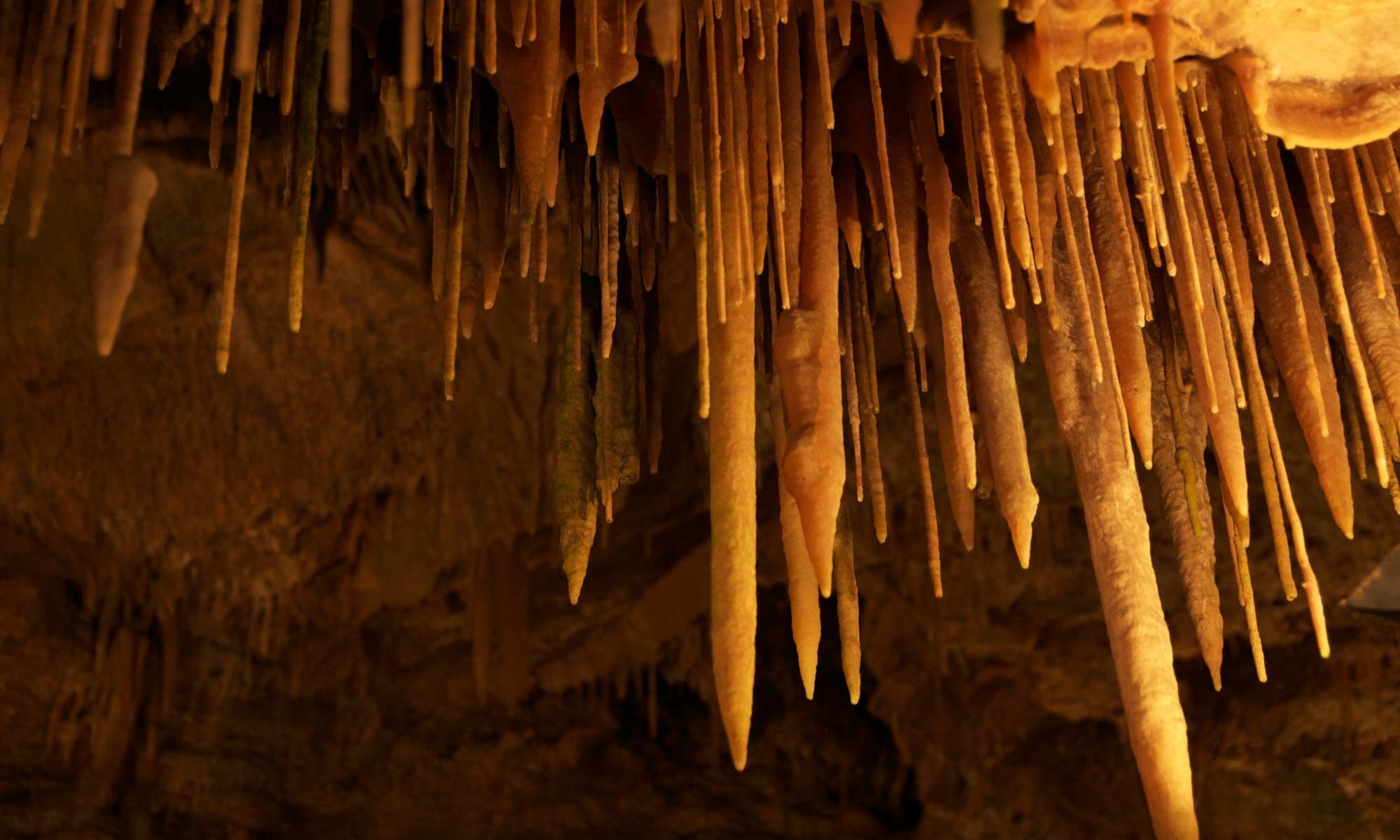secrets-of-west-virginias-smoke-hole-caves