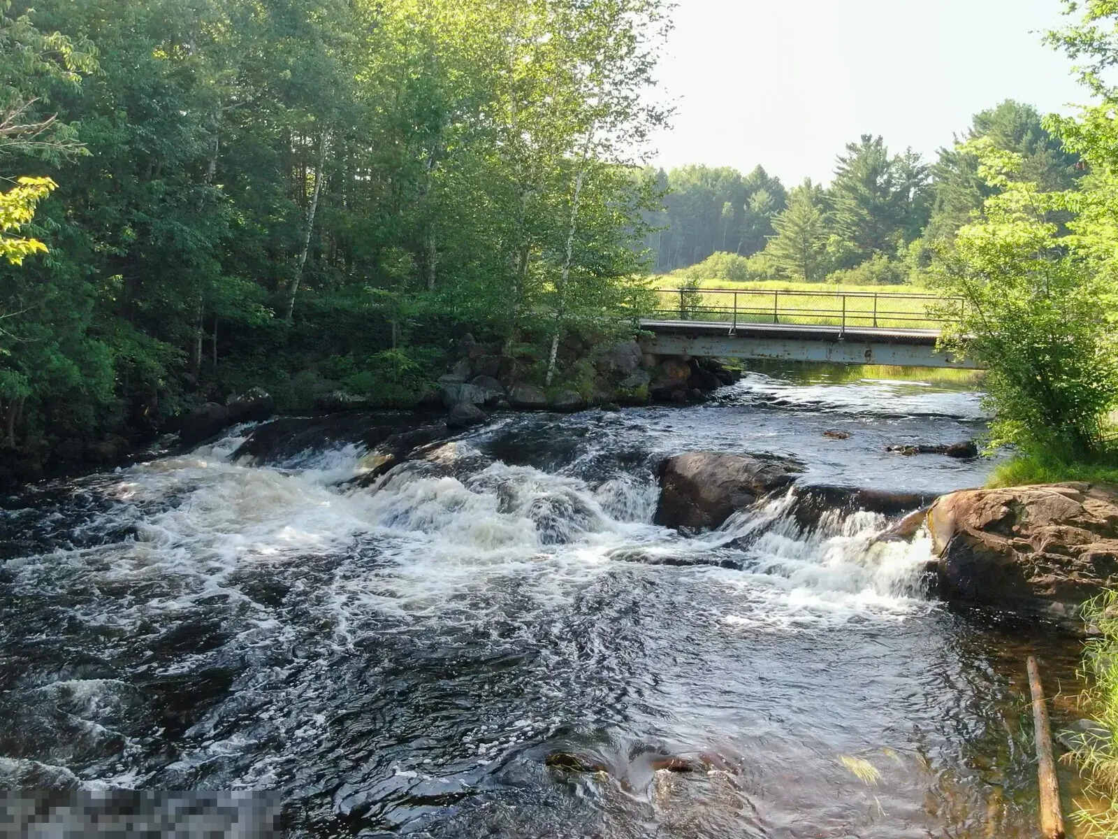 Secrets-Of-Wisconsin8217s-Cedar-Falls secrets-of-wisconsins-cedar-falls