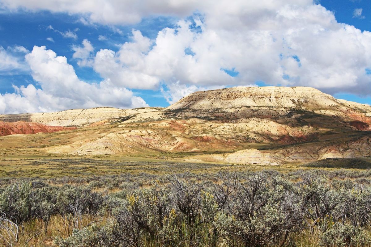 Secrets-Of-Wyoming8217s-Fossil-Butte secrets-of-wyomings-fossil-butte