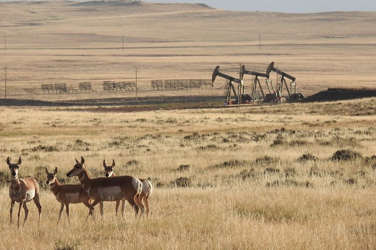 secrets-of-wyomings-thunder-basin