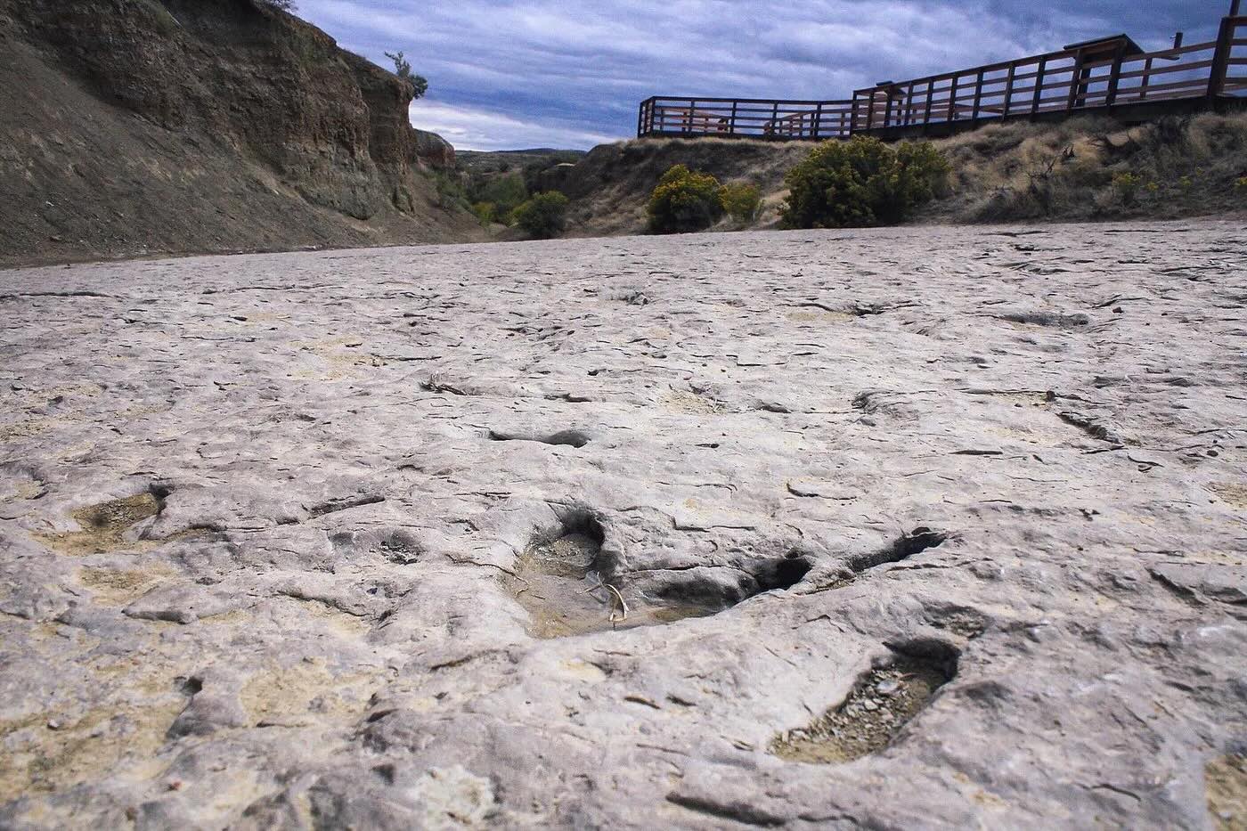 Wyoming8217s-Secret-Dinosaur-Footprints wyomings-secret-dinosaur-footprints