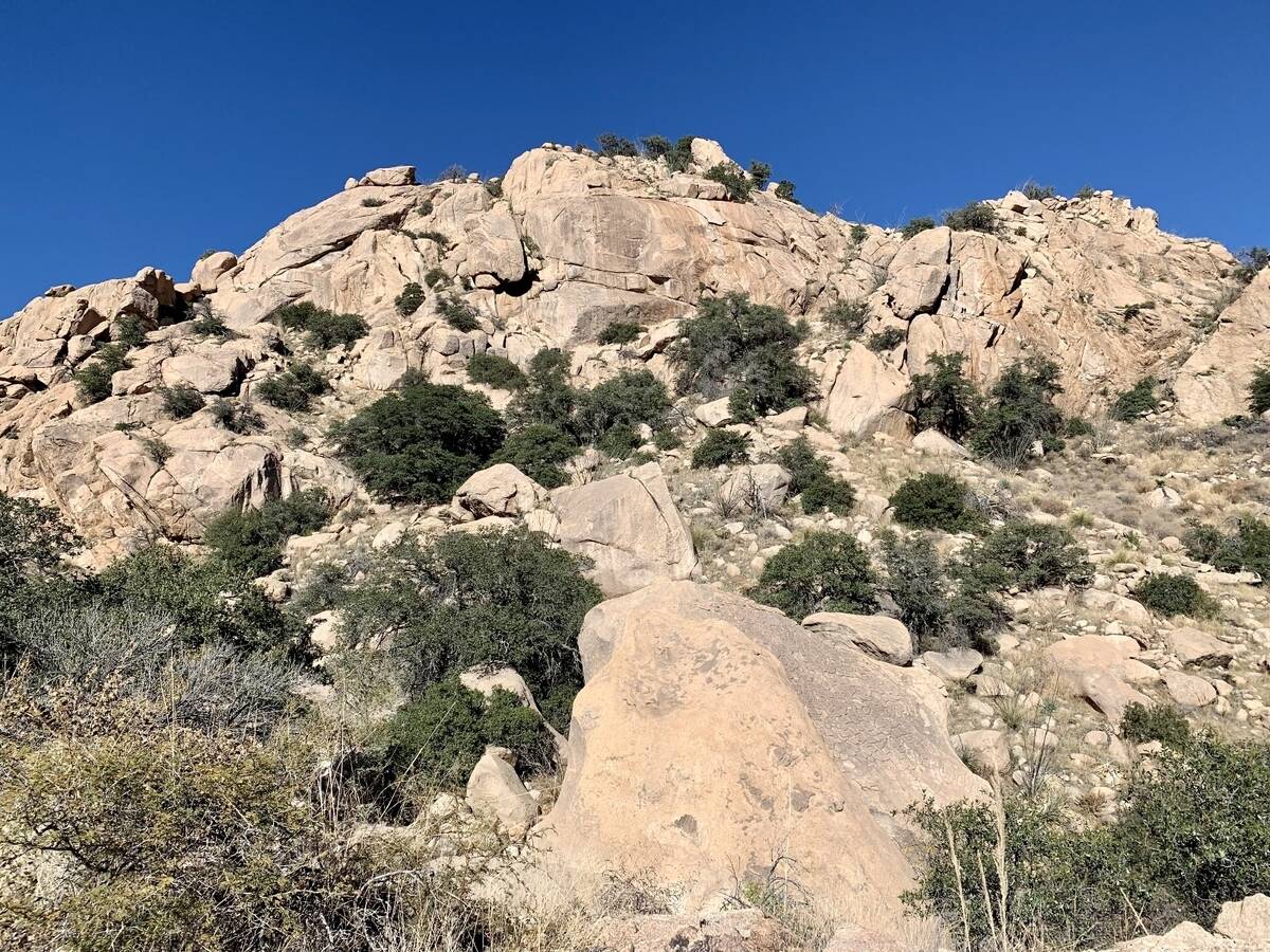 Arizona-Dragoon-Mountains-Adventure arizona-dragoon-mountains-adventure