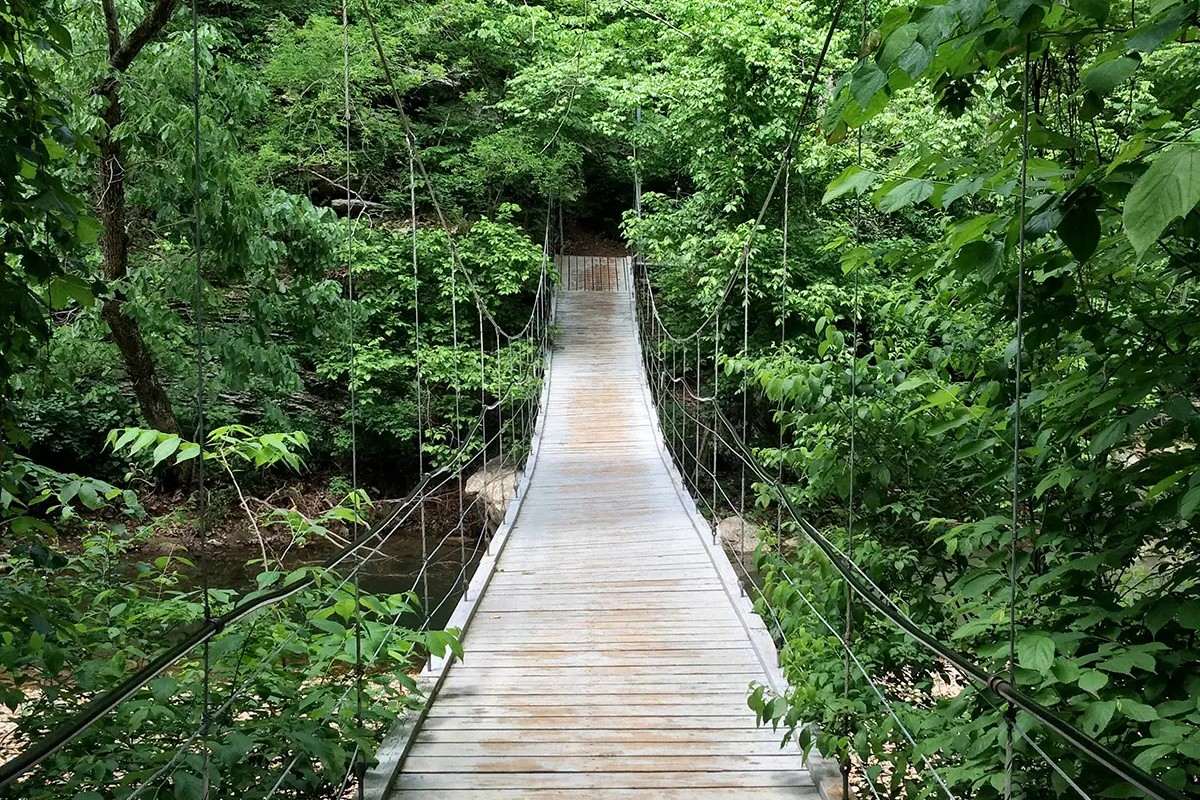 arkansas-tanyard-creek-wonders