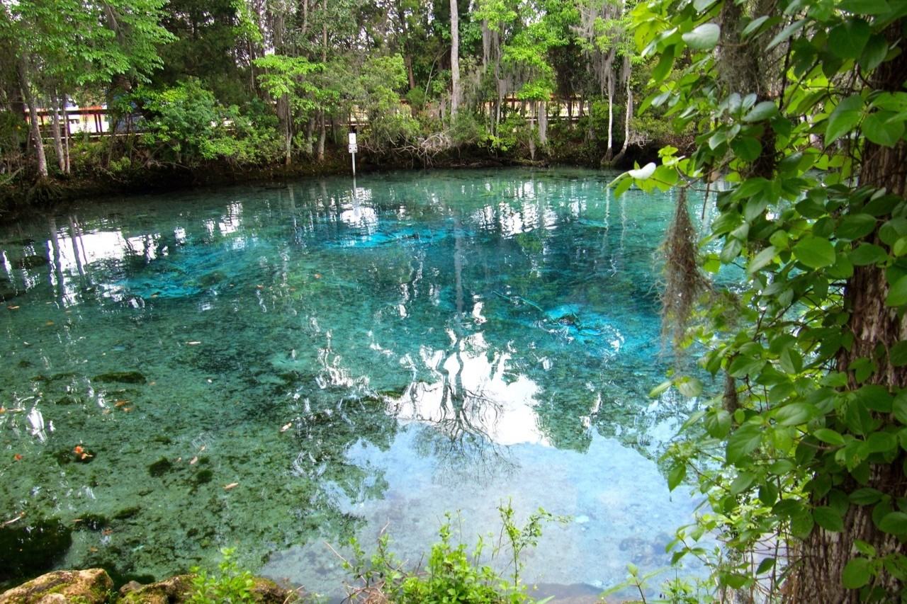 florida-crystal-river-wonders