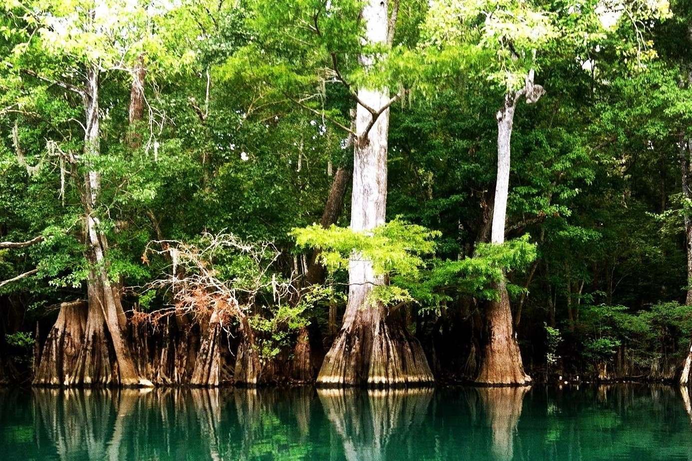 florida-morrison-springs-wonders