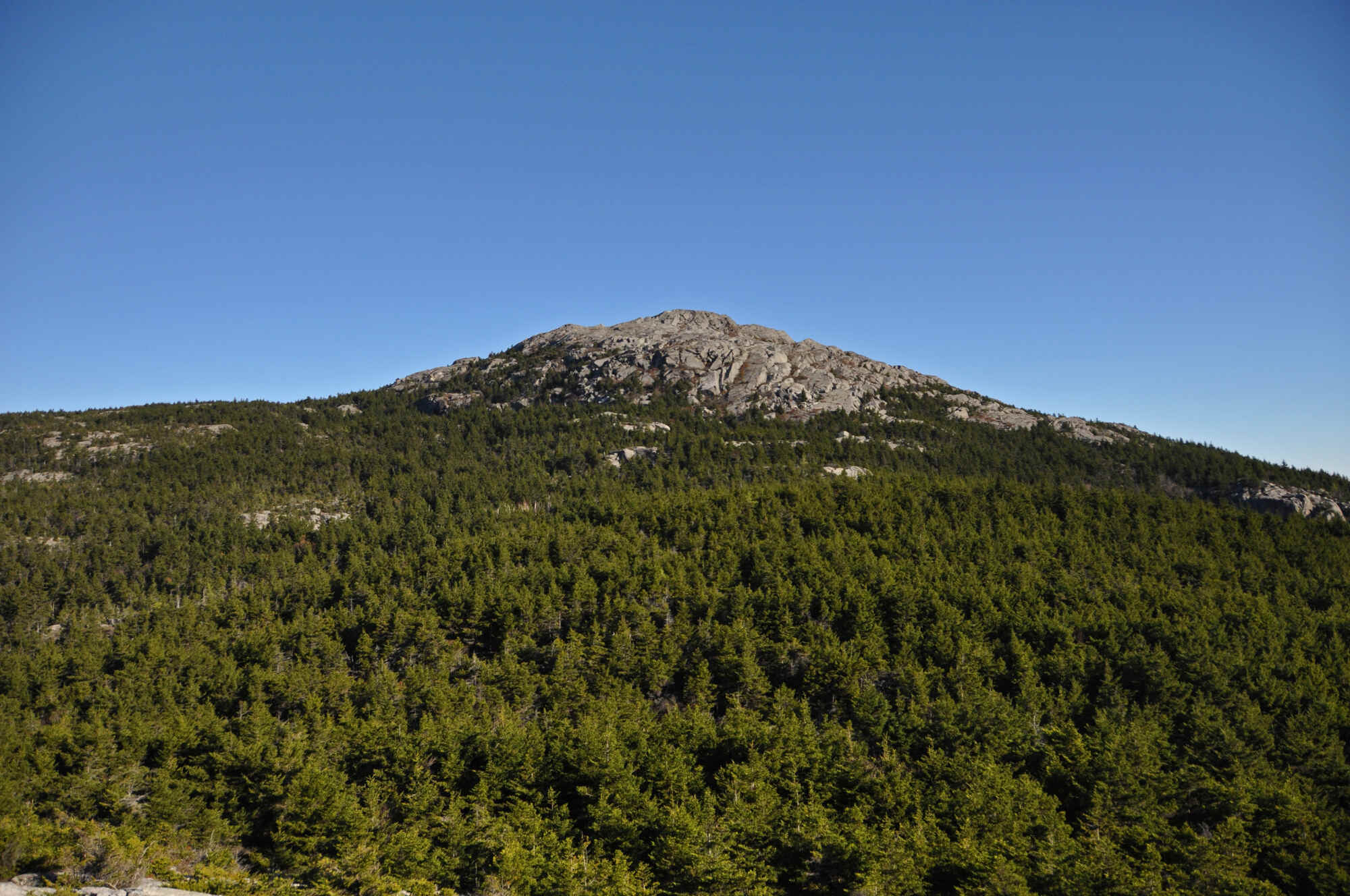 Ghost-Griffin-Trails-In-New-Hampshire8217s-Monadnock ghost-griffin-trails-in-new-hampshires-monadnock