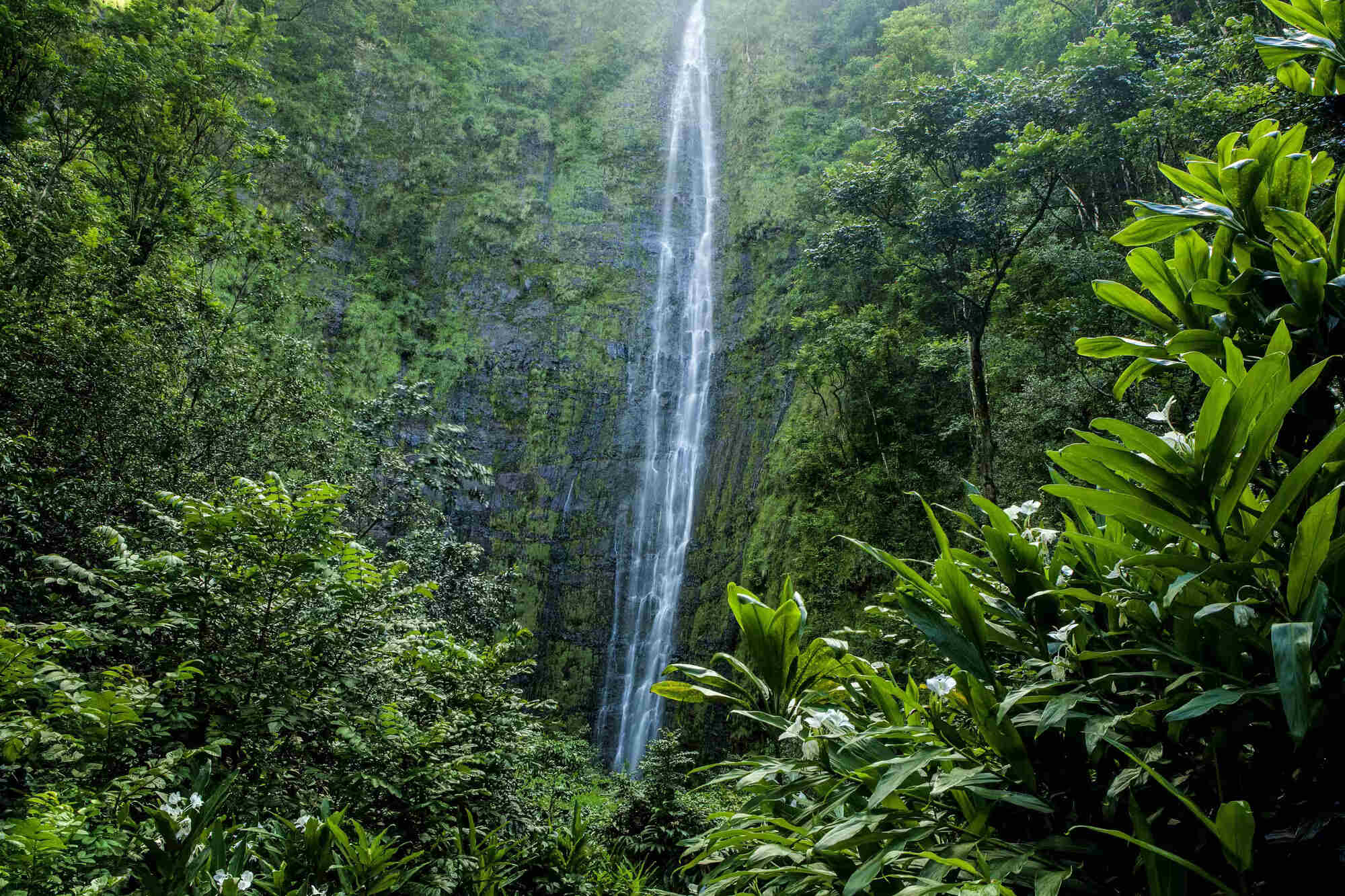 hawaii-waimoku-falls-mystery