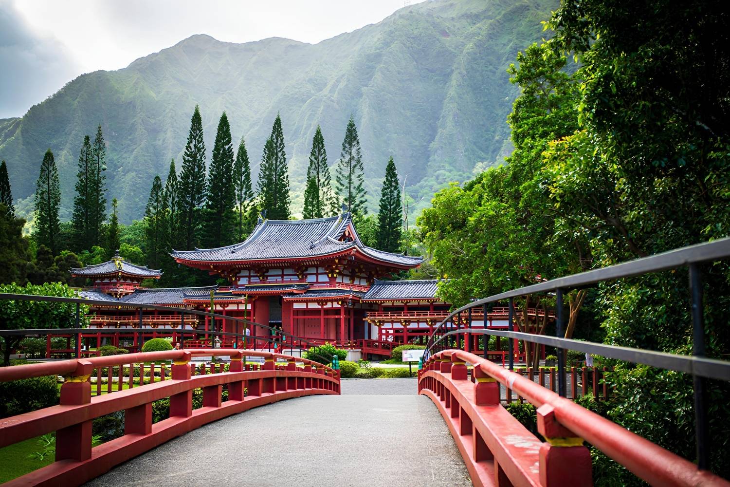 hidden-cloud-temples-of-hawaiis-koolau-range