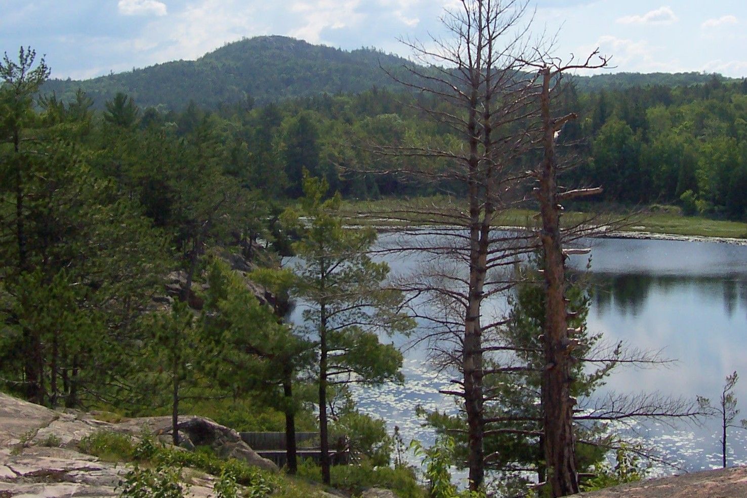 hidden-crystal-springs-in-michigans-huron-mountains