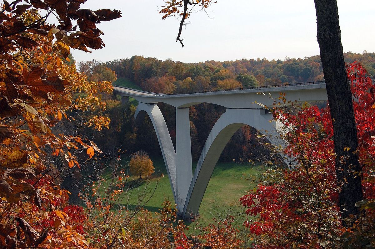 Hidden-Paths-Of-Mississippi8217s-Natchez-Trace hidden-paths-of-mississippis-natchez-trace