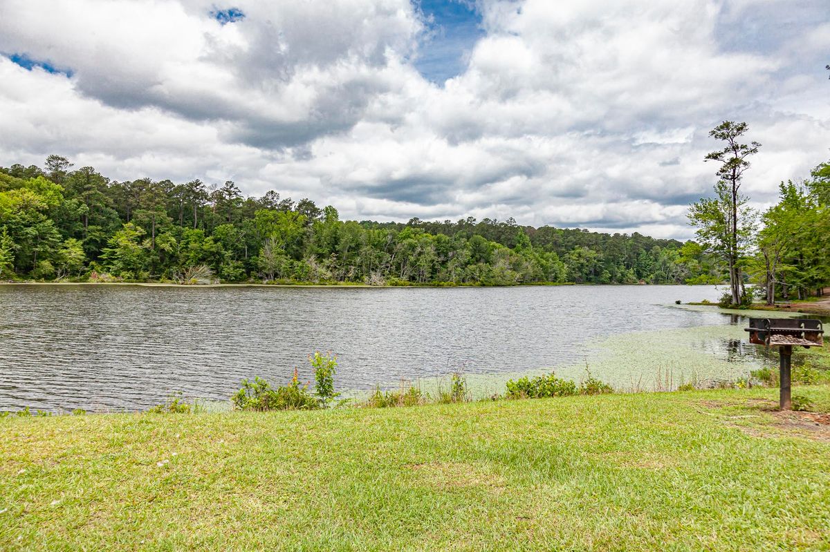 Hidden Pools Of Alabama's Paul M Grist | TouristSecrets