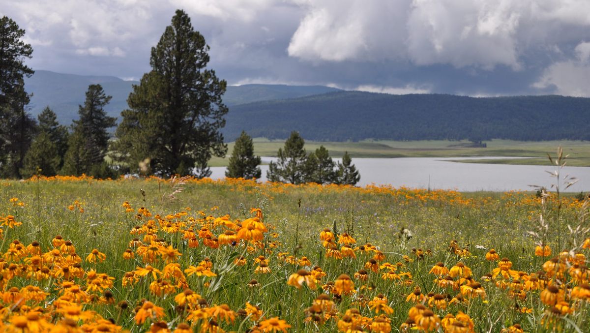 hidden-signal-points-in-arizonas-white-mountains