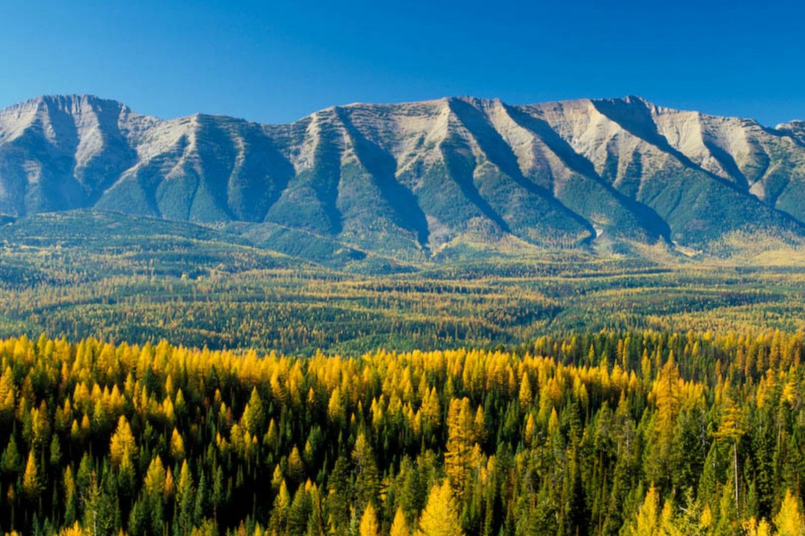Hidden-Signal-Points-In-Montana8217s-Swan-Range hidden-signal-points-in-montanas-swan-range