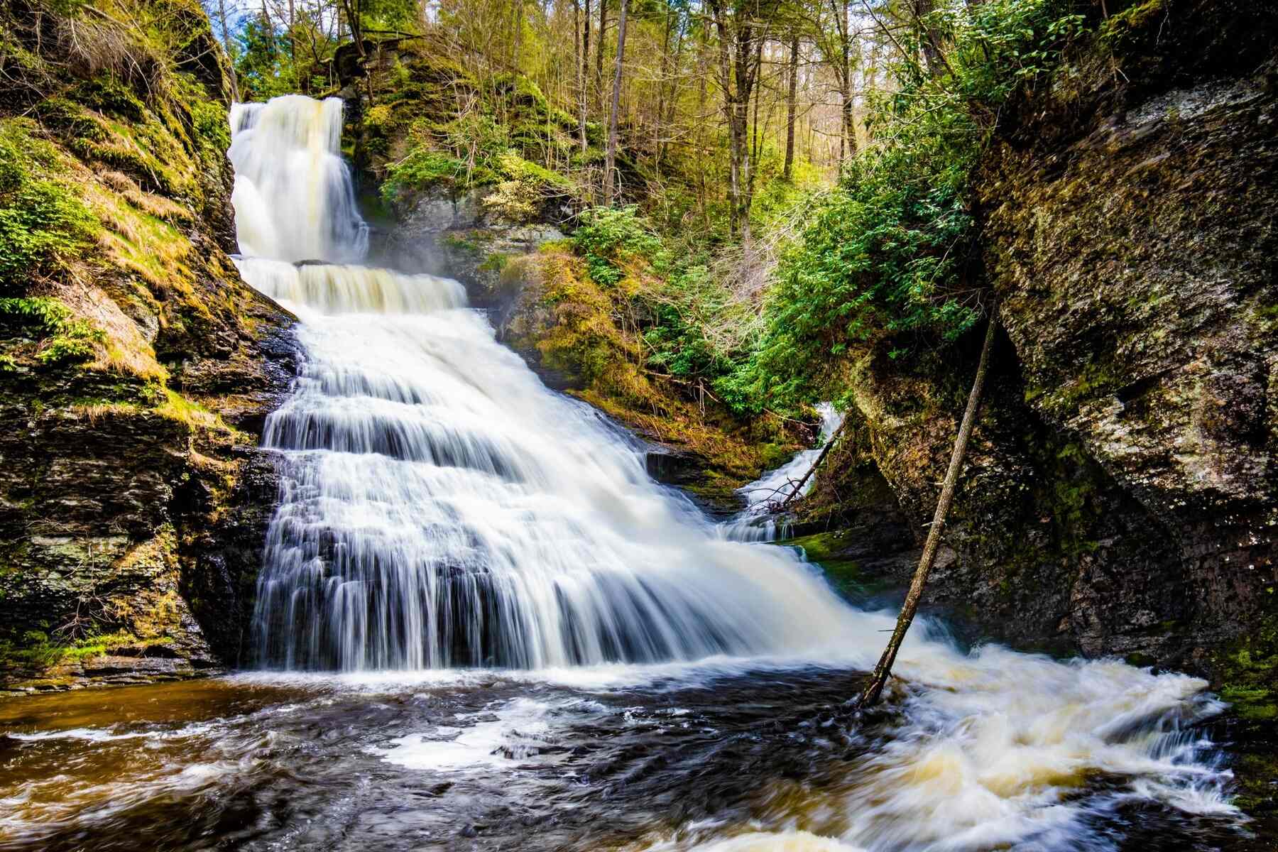 Hidden-Springs-Of-Delaware8217s-Bellevue hidden-springs-of-delawares-bellevue