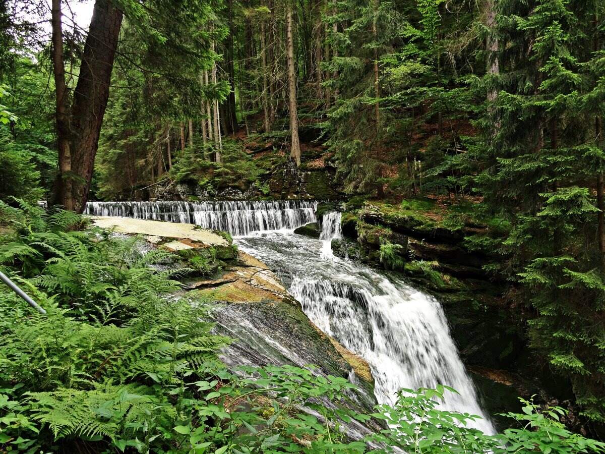 Hidden-Springs-Of-Louisiana8217s-Clark-Creek hidden-springs-of-louisianas-clark-creek