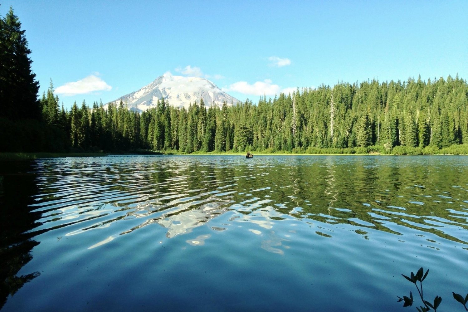 hidden-springs-of-mount-adams-in-washington