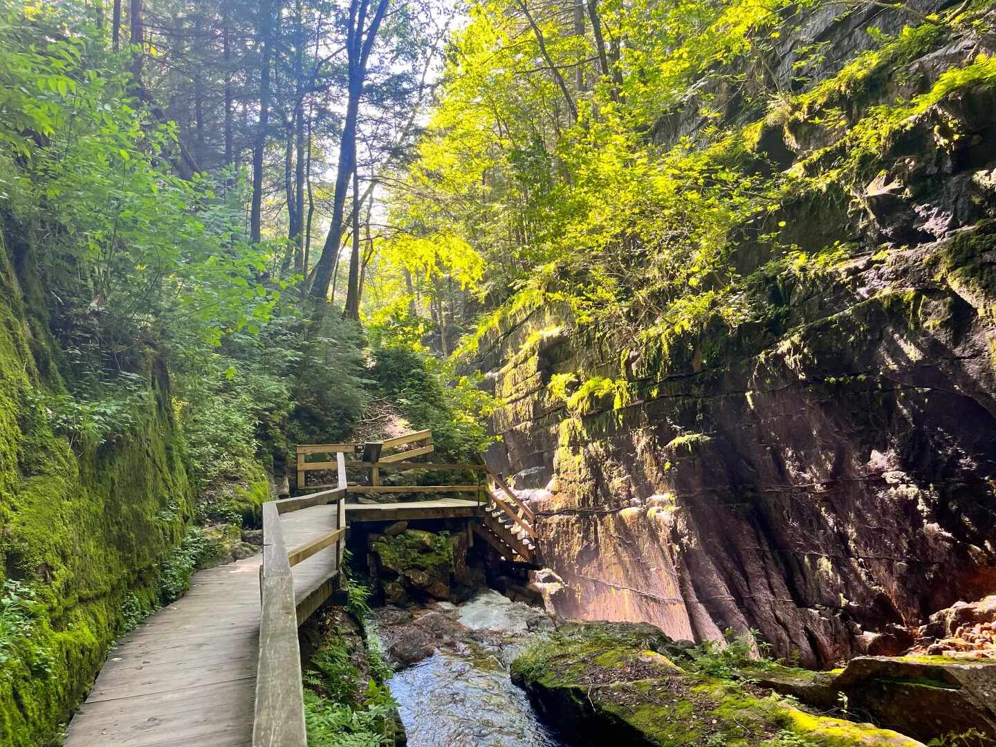Hidden-Springs-Of-New-Hampshire8217s-Flume-Gorge hidden-springs-of-new-hampshires-flume-gorge