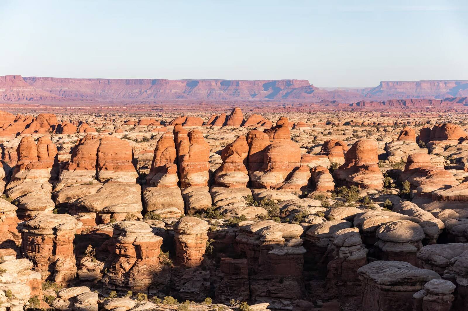 hidden-springs-of-utahs-canyonlands