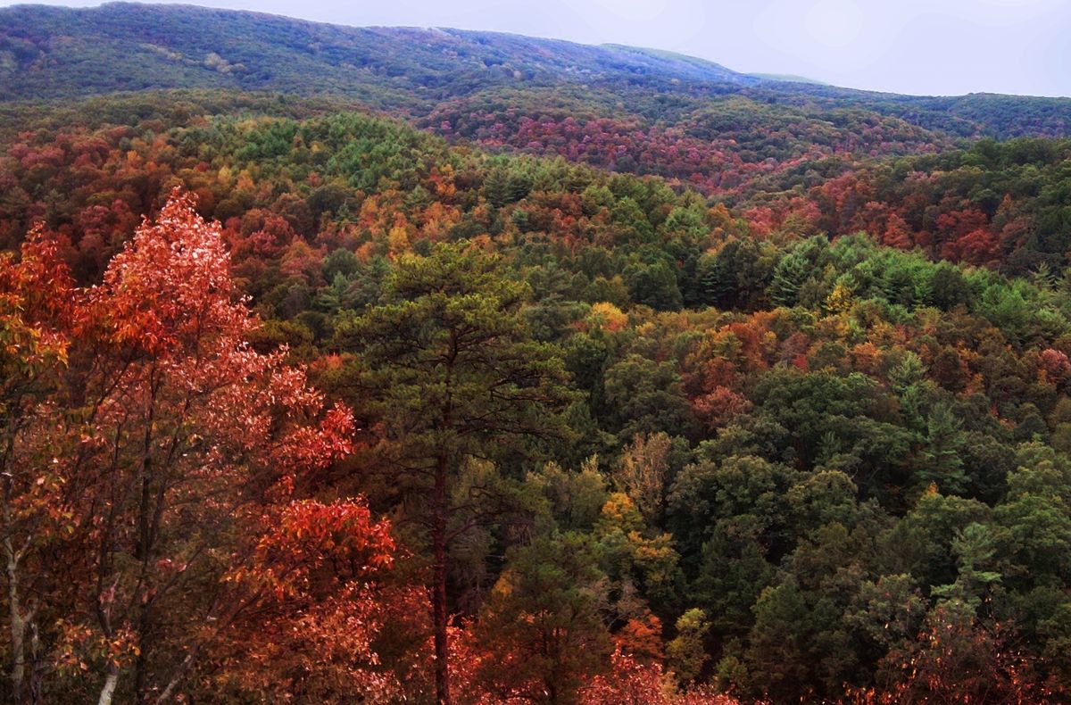 hidden-trails-of-marylands-green-ridge