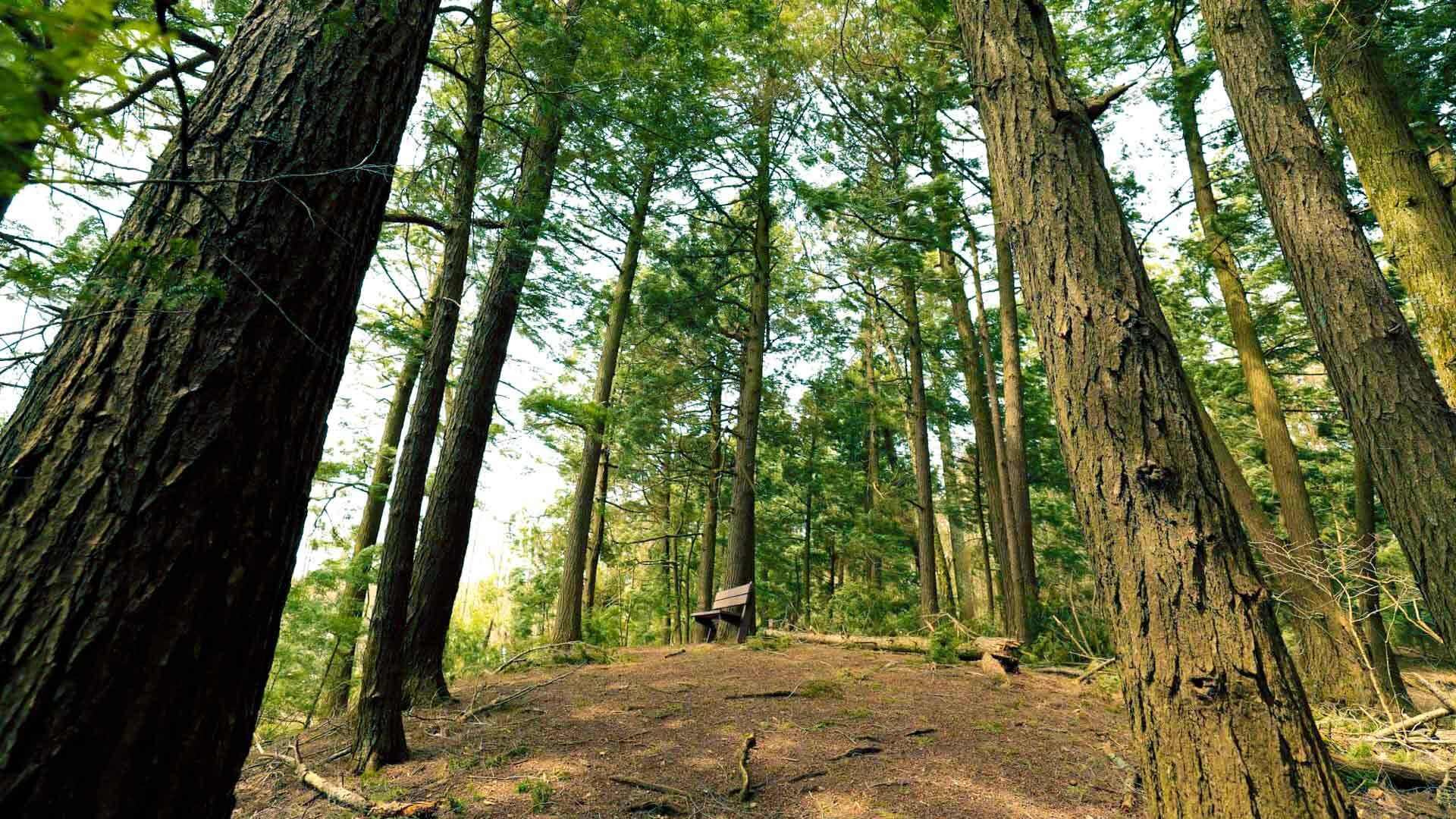 Hidden-War-Paths-Of-Wisconsin8217s-Chequamegon hidden-war-paths-of-wisconsins-chequamegon