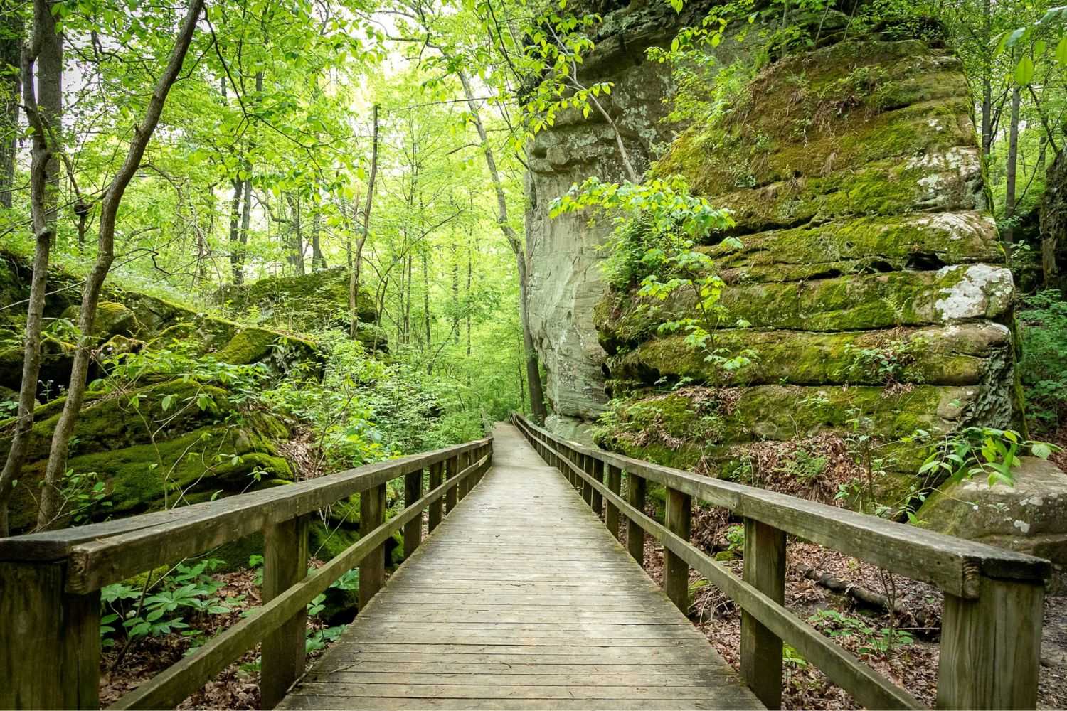 illinois-giant-city-wonders