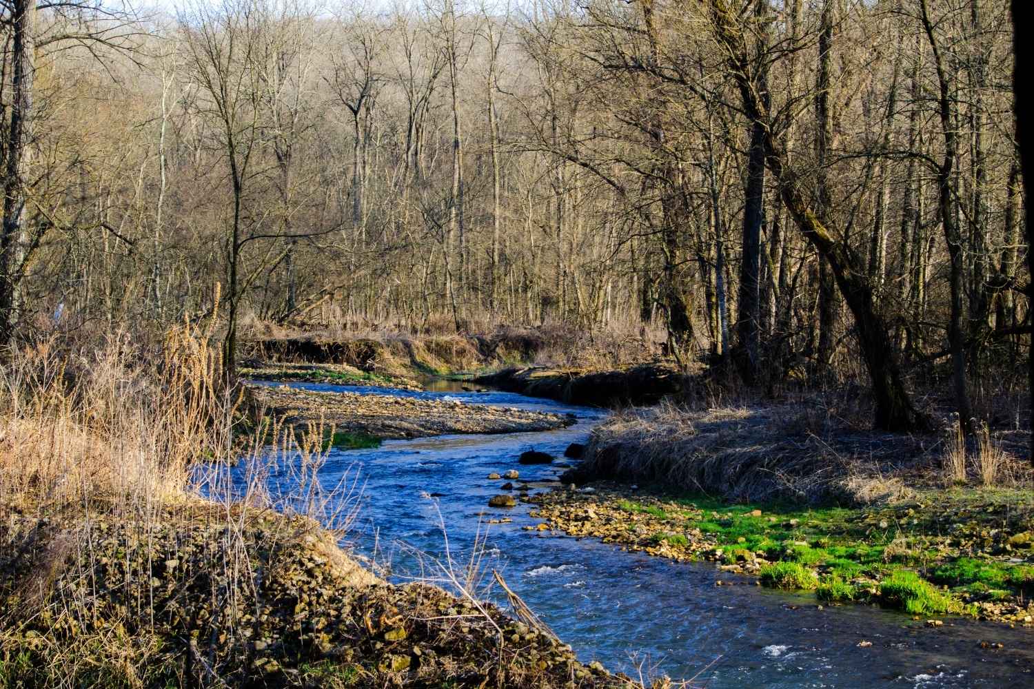iowa-yellow-river-forest-mystery