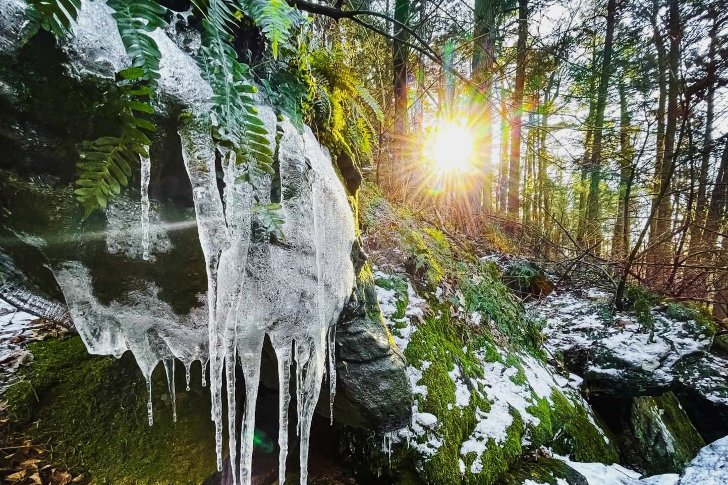 Massachusetts-Ice-Glen-Adventure massachusetts-ice-glen-adventure