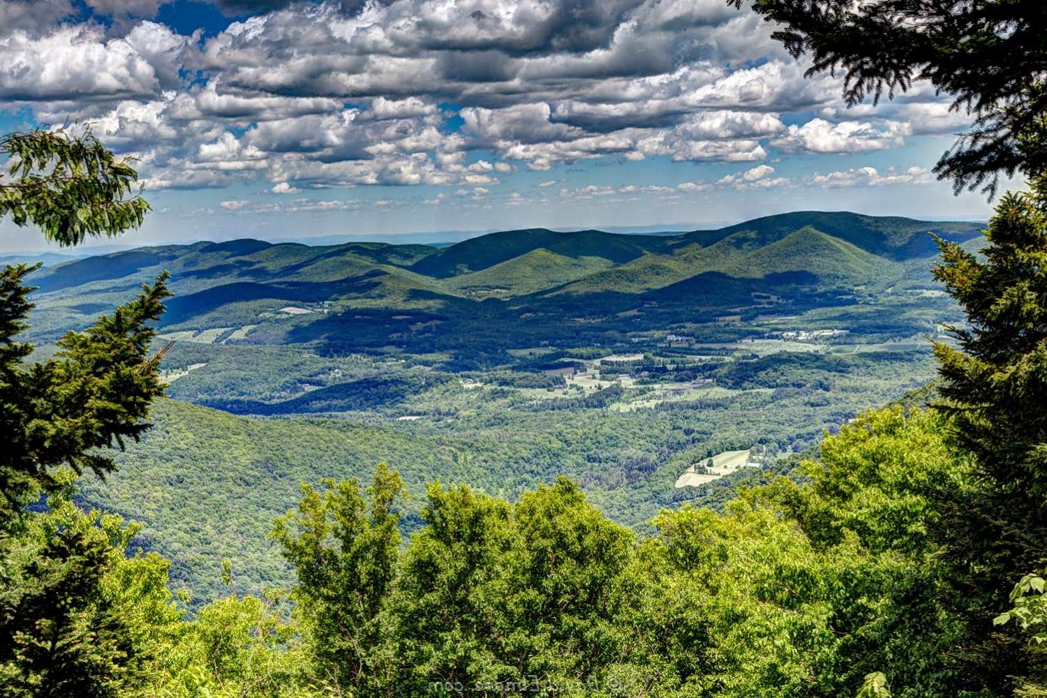 massachusetts-mount-greylock-adventure