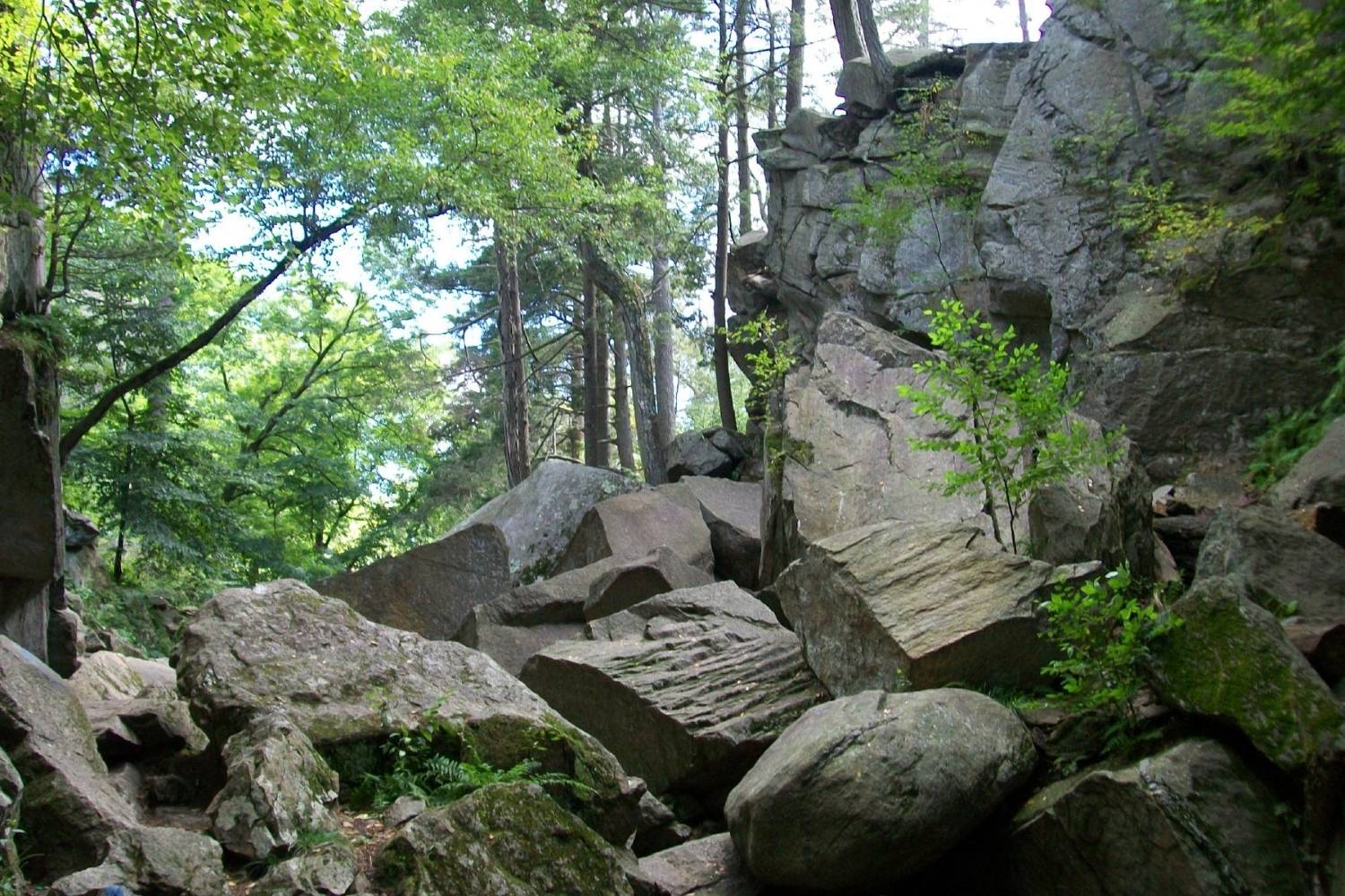 Massachusetts-Purgatory-Chasm-Adventure massachusetts-purgatory-chasm-adventure