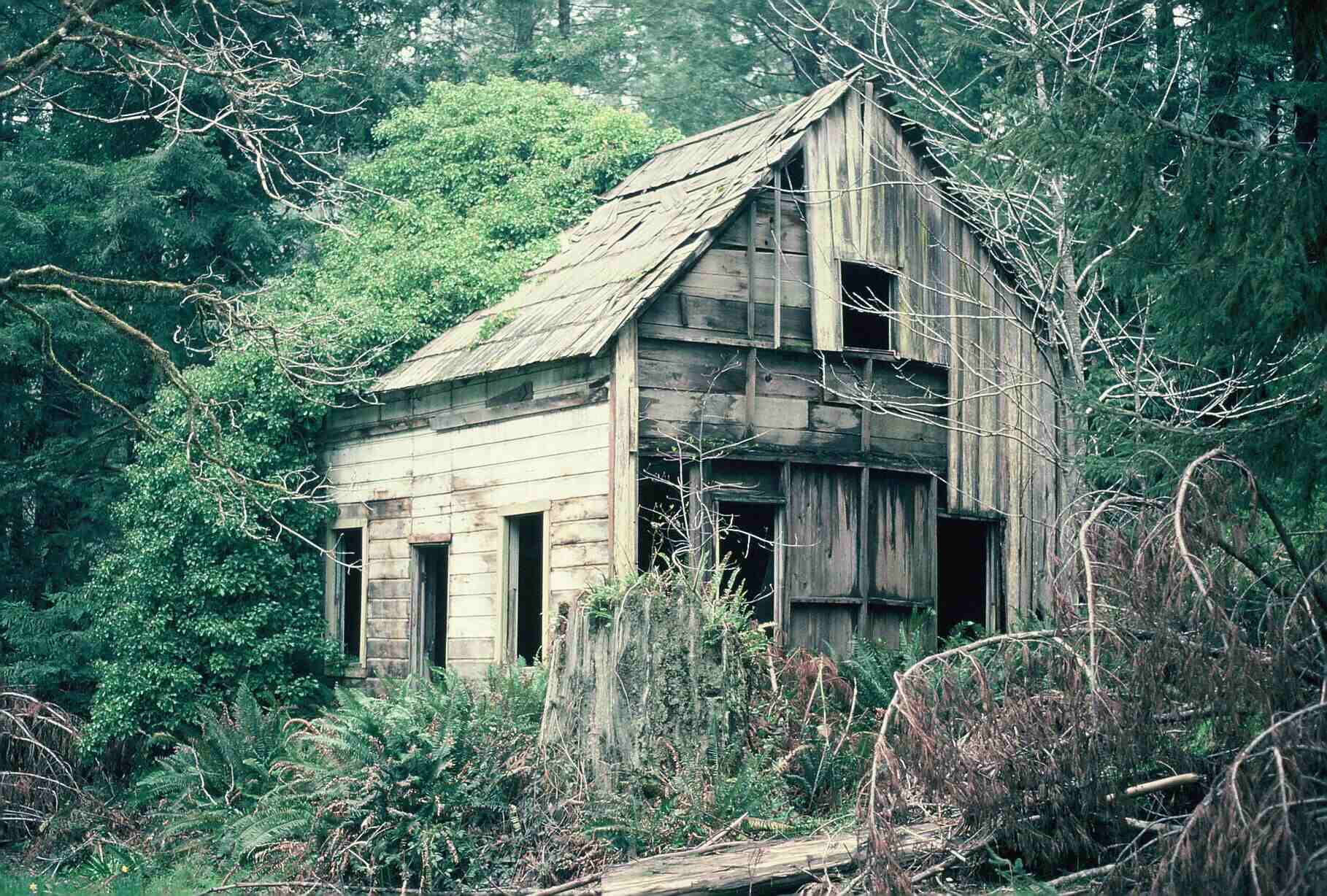 mendocinos-hidden-ghost-logging-towns