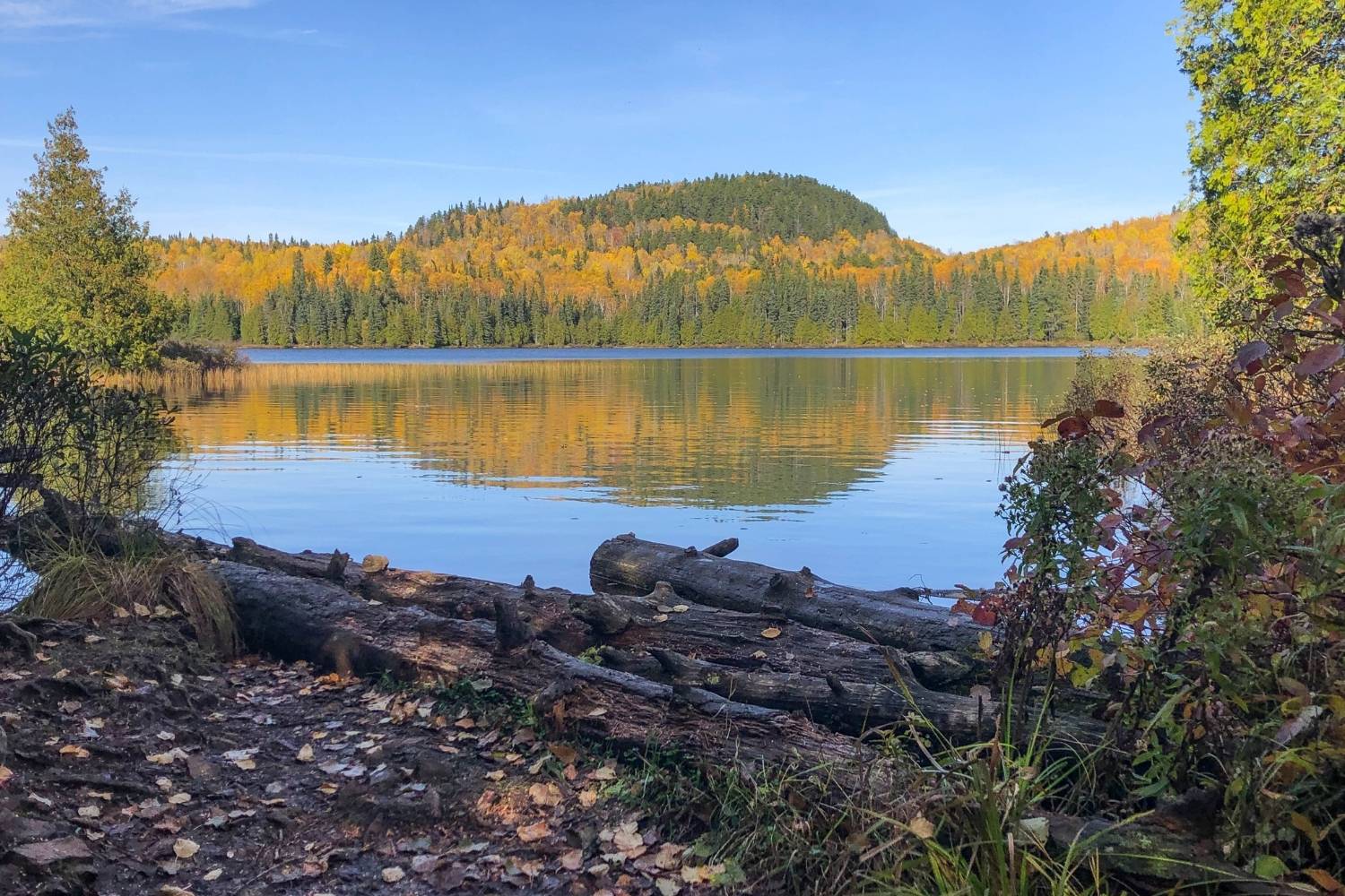 minnesota-eagle-mountain-wonders