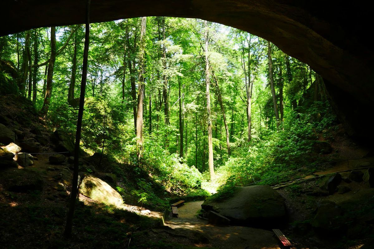 Mysteries-Of-Alabama8217s-Natural-Bridge-Caverns mysteries-of-alabamas-natural-bridge-caverns
