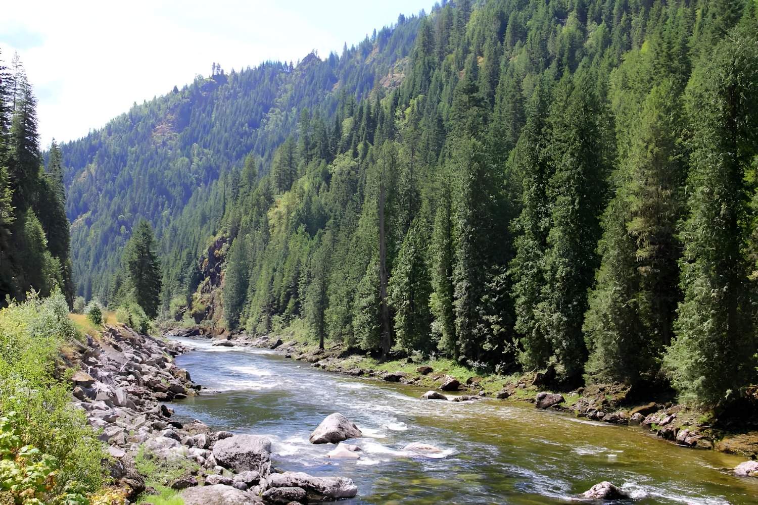 mysteries-of-idahos-meadow-creek