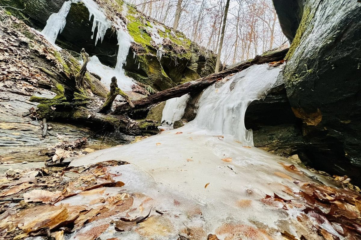 Mysteries-Of-Indiana8217s-Rare-O8217Fat-Ridge mysteries-of-indianas-rare-ofat-ridge