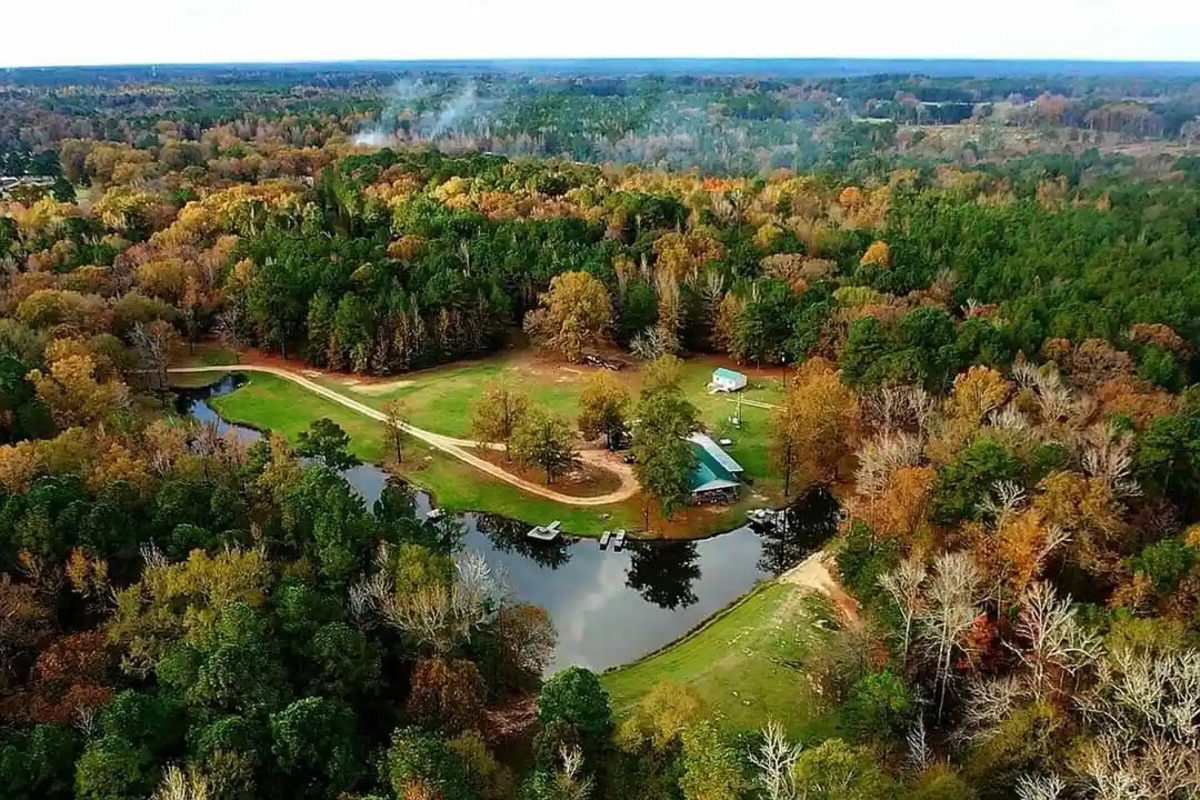 Mysteries-Of-Louisiana8217s-Bodcau-Bayou mysteries-of-louisianas-bodcau-bayou
