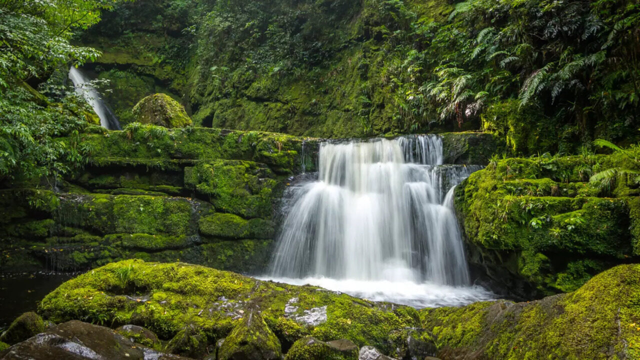 Mysteries-Of-Louisiana8217s-Kisatchie-Falls mysteries-of-louisianas-kisatchie-falls