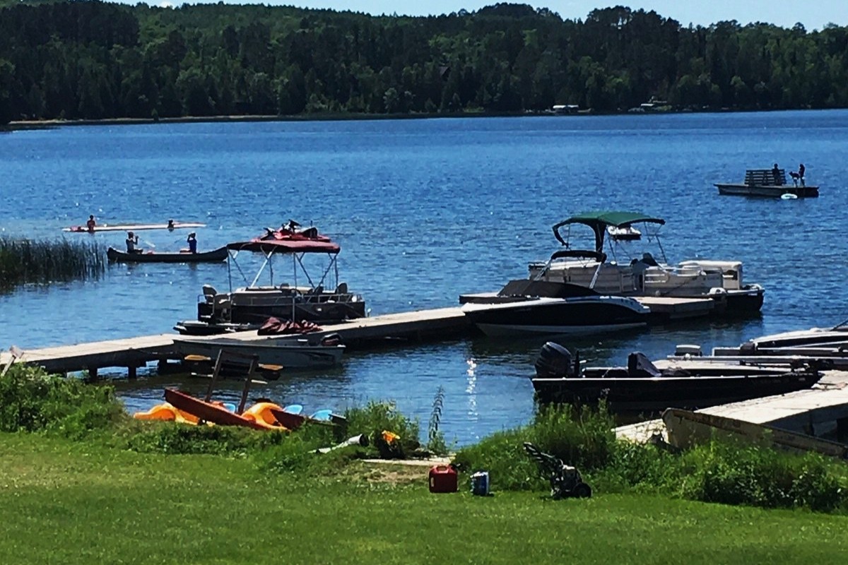 mysteries-of-minnesotas-thunder-lake-birds