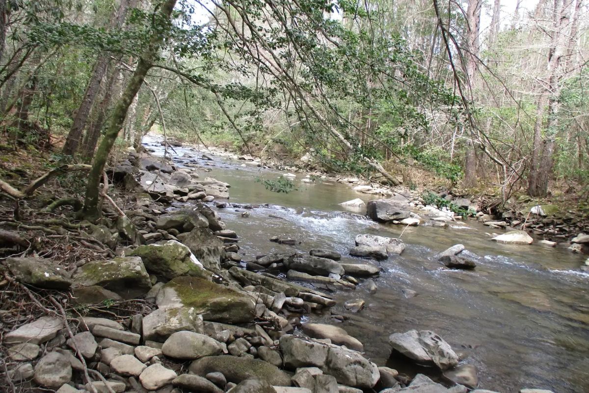 mysteries-of-mississippis-echo-creek