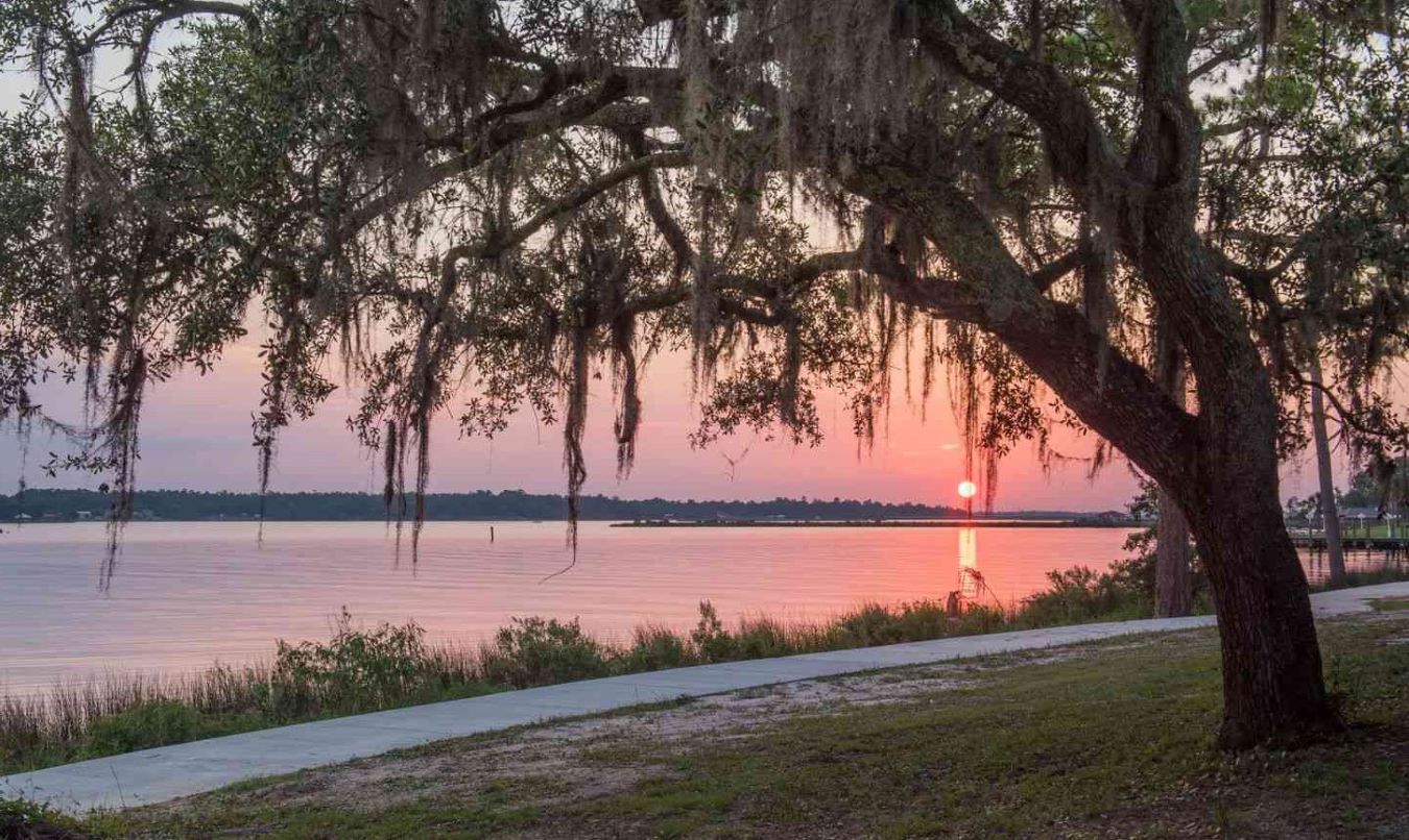 mysteries-of-mississippis-mint-spring