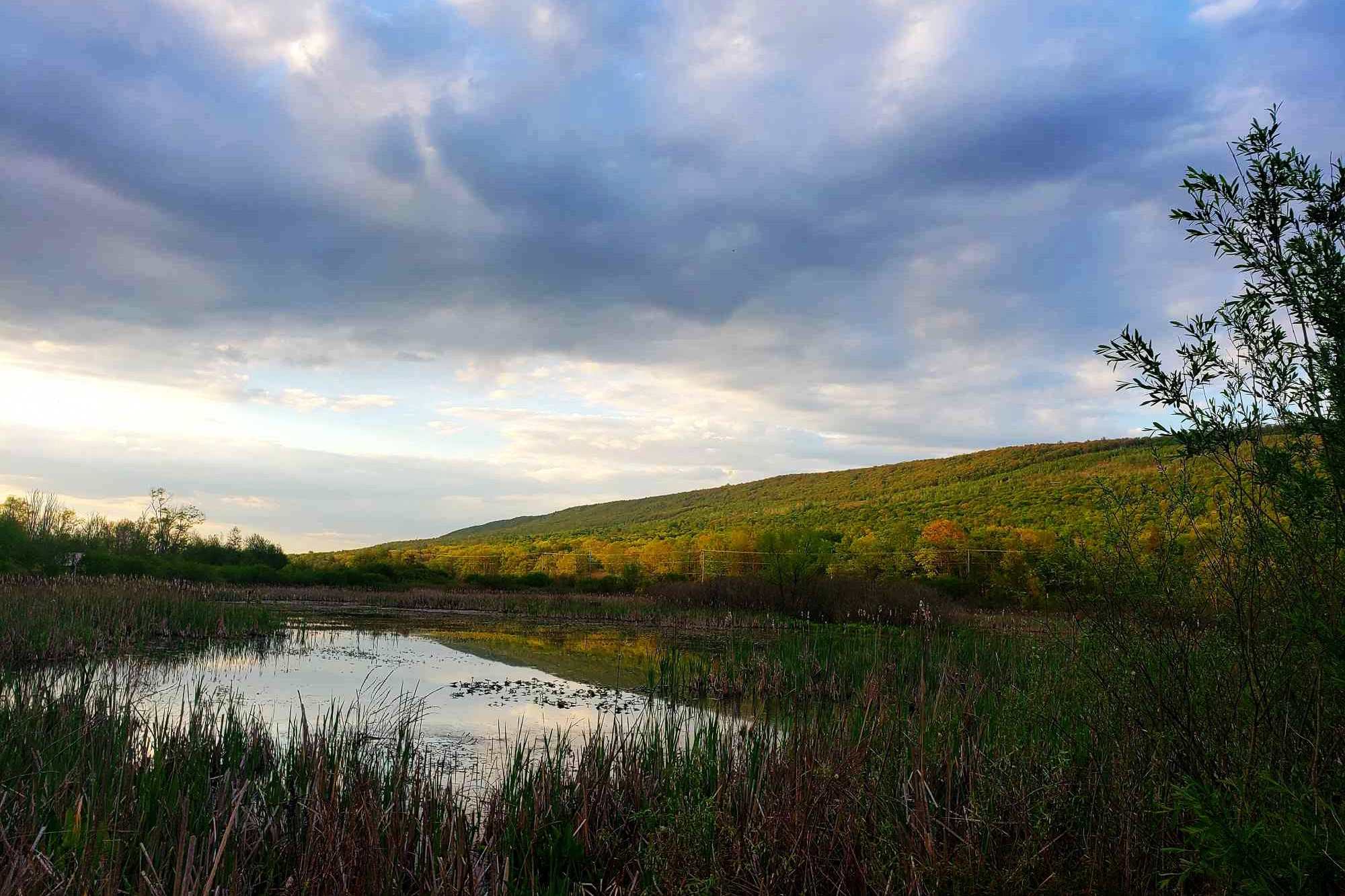 mysteries-of-pennsylvanias-bald-eagle-valley