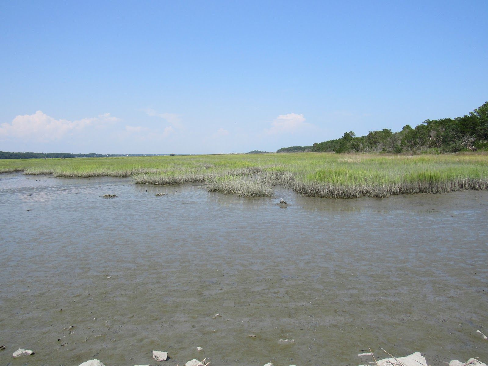mysteries-of-south-carolinas-silent-basin-waters