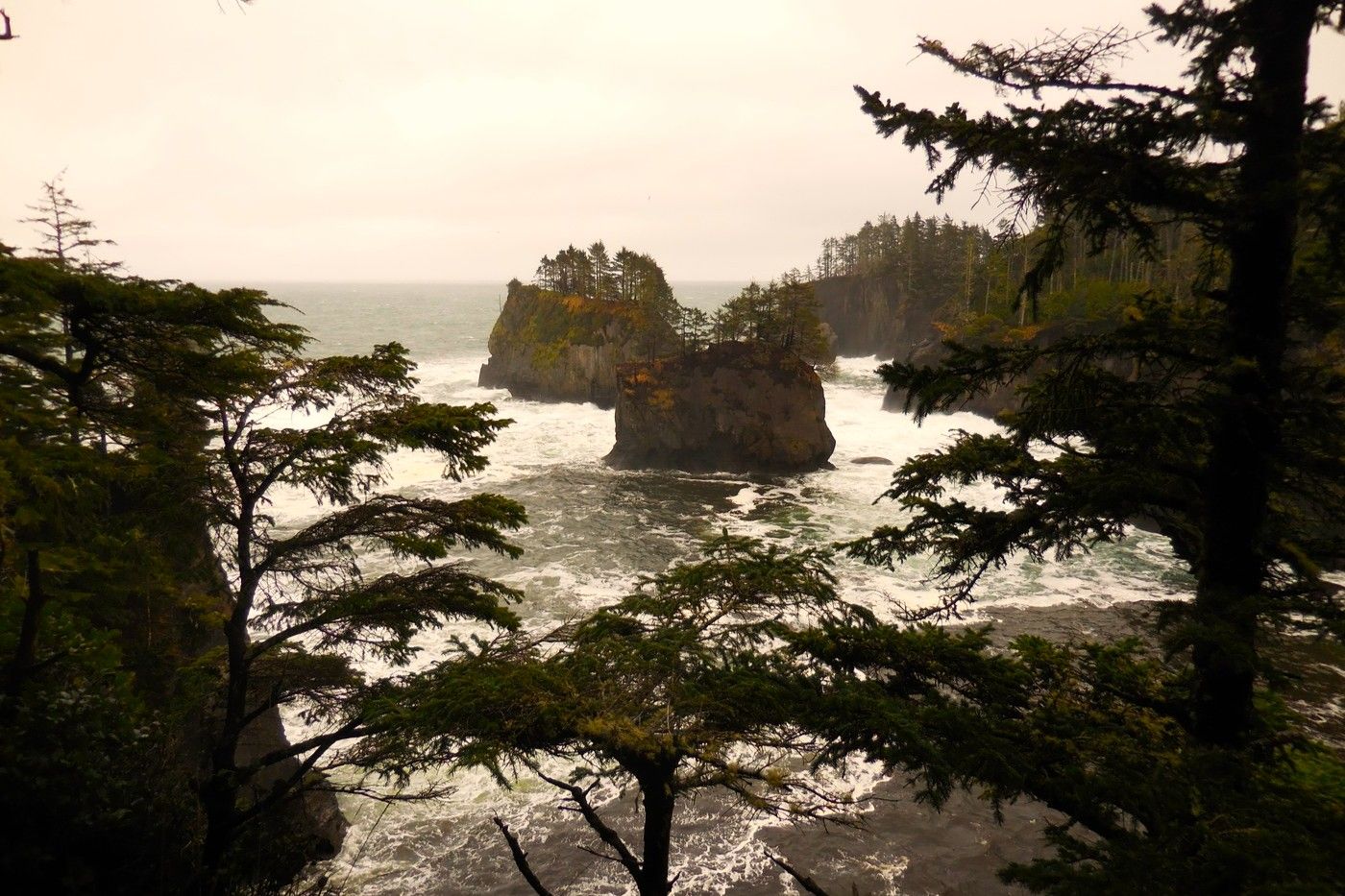 mysteries-of-washingtons-cape-flattery