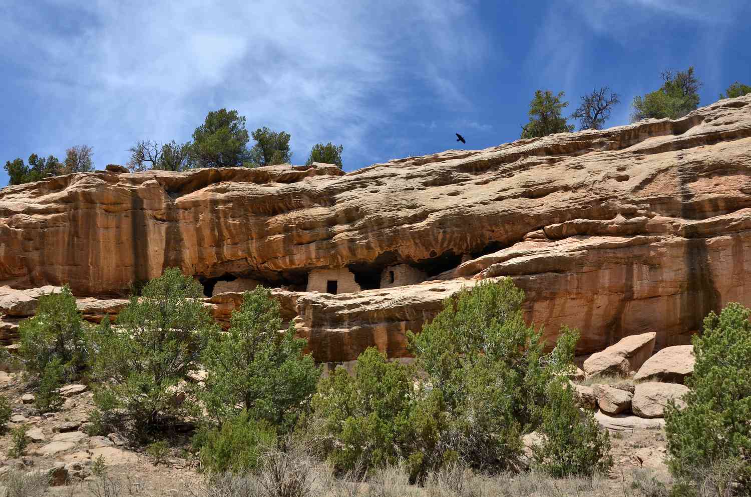 Mystery-Moon-Pools-In-New-Mexico8217s-Zuni-Mountains mystery-moon-pools-in-new-mexicos-zuni-mountains