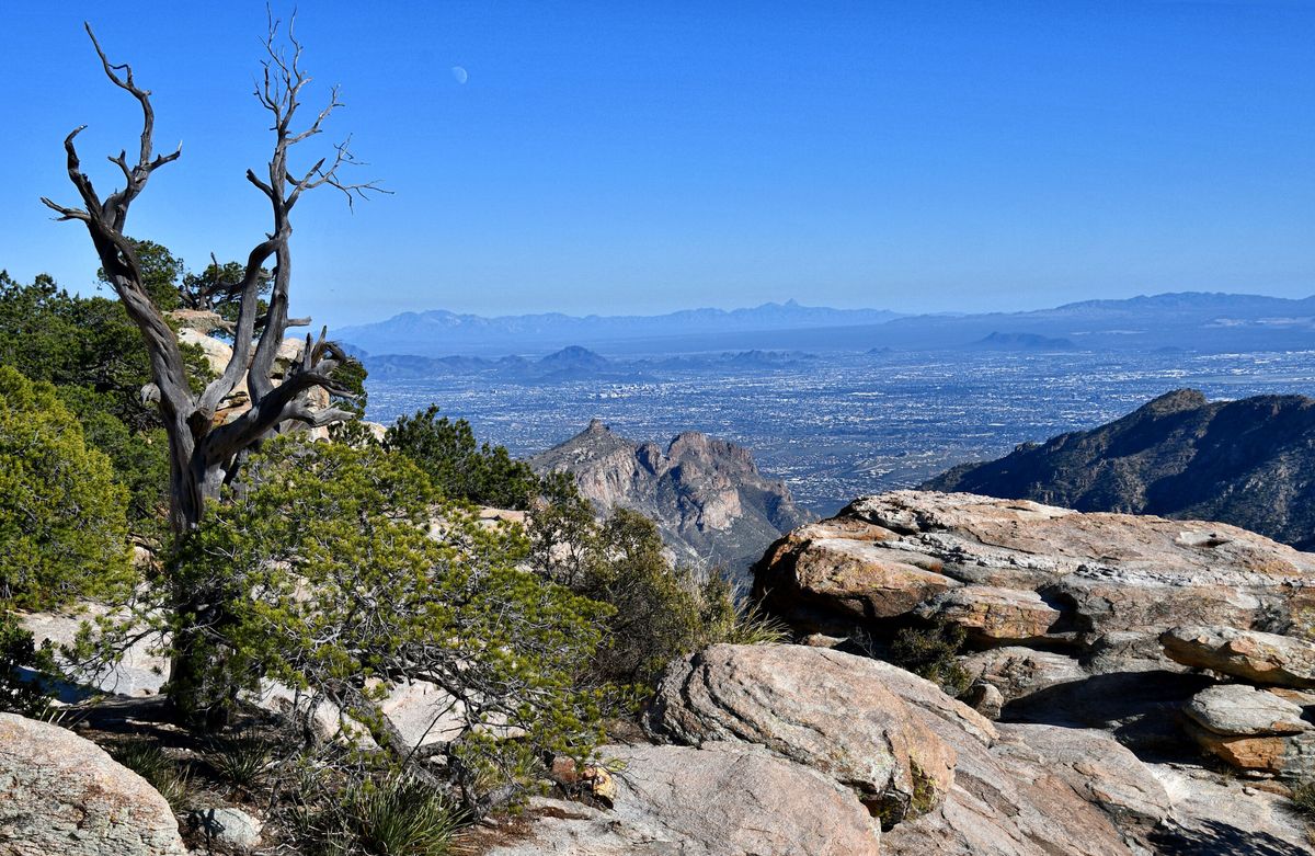 mystery-of-the-dragon-rings-at-mount-lemmon