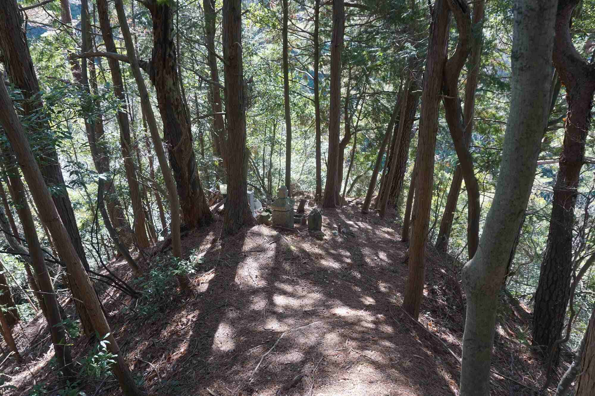 Mystic8217s-Ancient-Shell-Roads mystics-ancient-shell-roads
