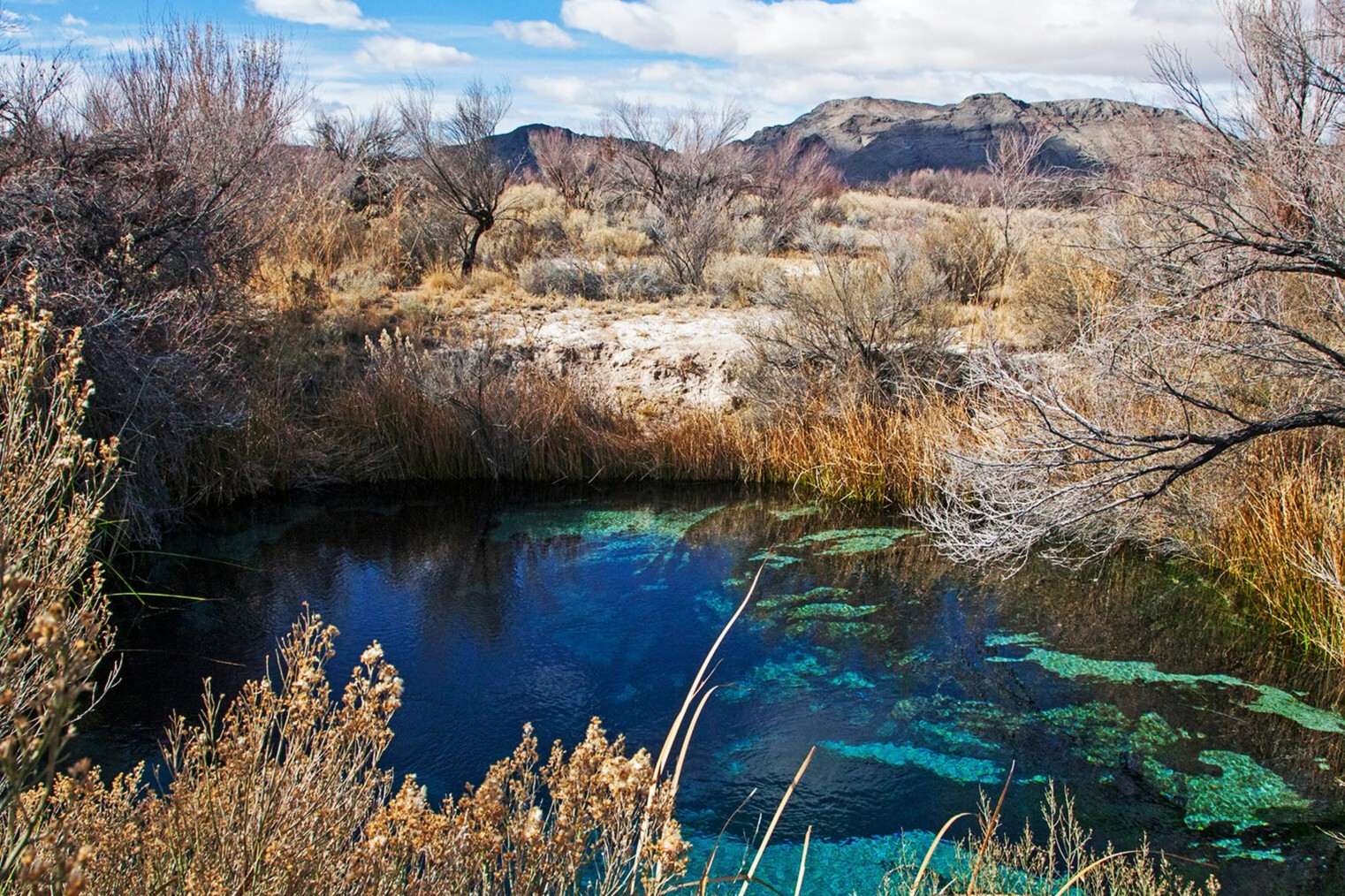 nevada-ash-meadows-underneath