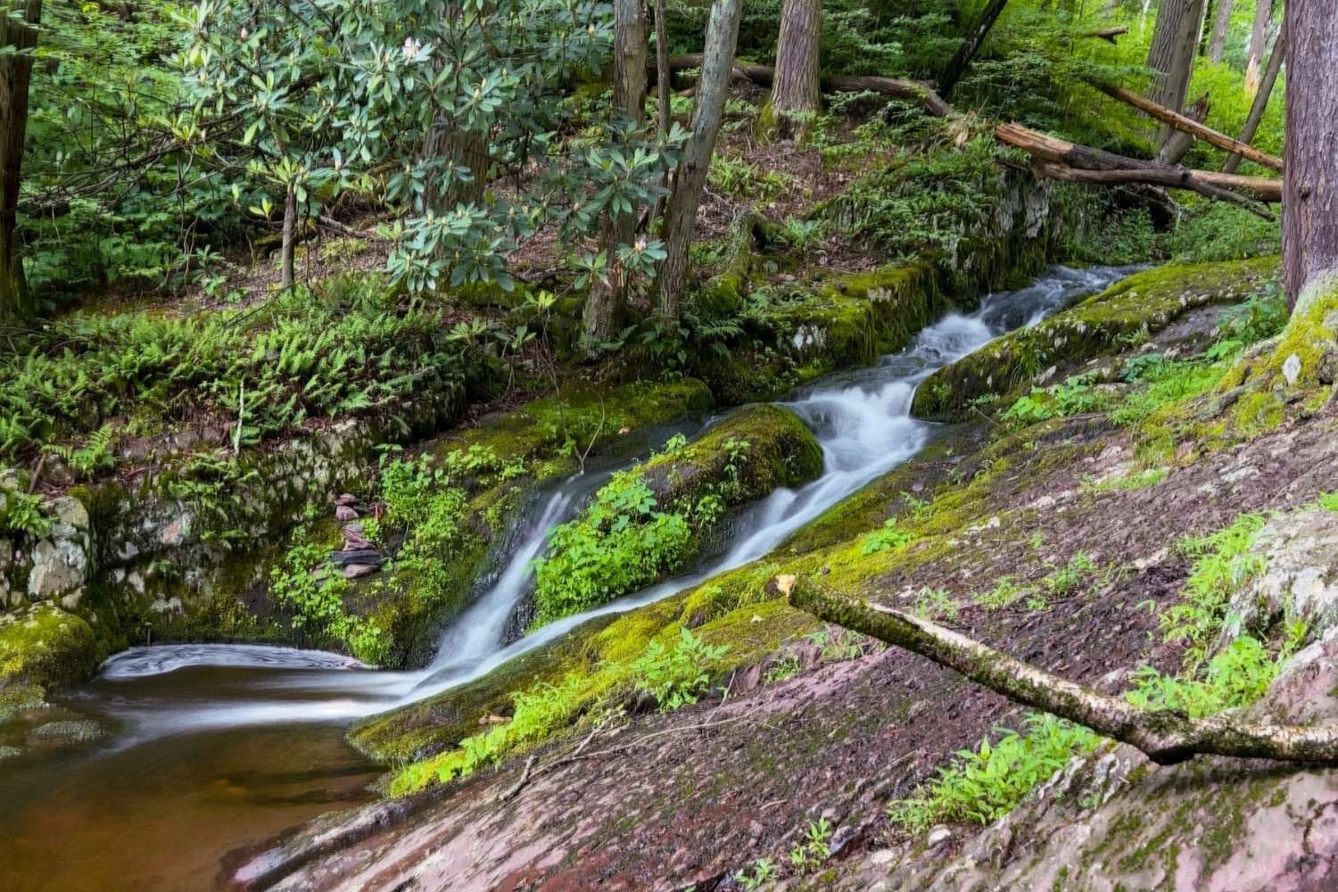 New-Jersey-Tillman-Ravine-Mystery new-jersey-tillman-ravine-mystery